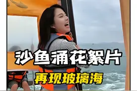 很多人都不知道，深圳有几十个沙滩，谁还去大梅沙人挤人呀~ #深圳游玩攻略 #dou来广东百千万 #青dou计划 #广东DOU是好风光  #山里DOU是好风光