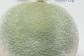 为什么不能滥用抗生素 #青霉素 #抗生素视频封面