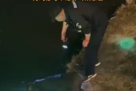 江苏一生态园两名保安捕捉甲鱼 园方：禁止捕捞 将对涉事人员严肃处理视频封面