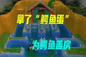 他拿了一个“鳄鱼蛋”，帮鳄鱼盖了一套房 #荒野建造