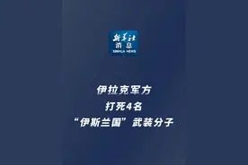 新华社消息｜伊拉克军方打死4名“伊斯兰国”武装分子视频封面