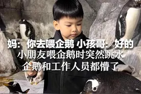妈：你去喂企鹅 小孩哥：好的 小朋友喂企鹅时突然跳水 企鹅和工作人员都懵了视频封面