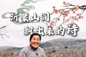 沂蒙山间飘出来的诗！52岁的“沂蒙二姐”吕玉霞用锄头耕耘土地，用诗句记录生活。她把春雪写成“老天爷撒的糖霜盐”，把麦田讲成“对农民最好的颂扬”！她希望能吸引更多的劳动人民加入创作者的队伍，分享生活中的简单美好！（市融媒体中心记者 吴慧 付如宸）@沂蒙二姐    #梦想的力量  #新农人 #临沂