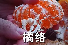 橘络是橘子里面的那层筋络，是橘子最贵的部分，以前都随手扔了 ，你了解橘络的作用吗？#植物科普 #橘络 #内容启发搜索 #橘子 #三农视频封面
