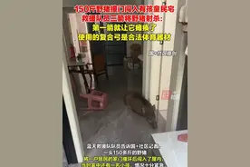 9月14日，安徽和县一野猪撞坏居民家玻璃门闯入#，居民躲房间避险。救援队员三箭将野猪射杀：第一箭就让它瘫痪了，使用复合弓是合法体育器材。