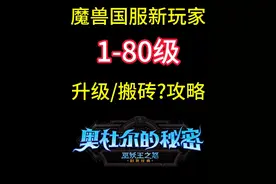 魔兽国服新手升级/搬砖攻略-1级至80级巫妖王之怒视频封面
