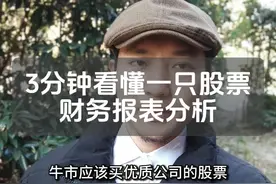 3分钟看懂一只股票财务报表分析 #A股 #股票 #股股视频封面