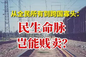 从全民所有到跨国寡头：民生命脉岂能贱卖？ #国企私有化视频封面
