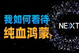 【苏星河】鸿蒙NEXT到底好用吗？纯血鸿蒙全面体验！ 结尾有惊喜视频封面