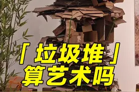 央美毕设展的废纸盒子能算艺术吗？ #美术生 #中央美术学院 #中央美术学院毕业展 #艺术生 #艺术在抖音视频封面