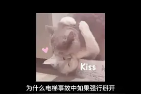 为什么不能强行打开电梯门？ #电梯  #电梯安全   #电梯维保