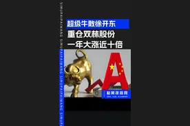 超级牛散徐开东，十大重仓股一览！ #财经 #金融 #股票 #牛散 #呼家楼视频封面