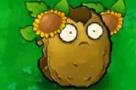 拼接板-郎朗戴朵花可爱捏#植物大战僵尸 #pvz #游戏 #游戏日常视频封面