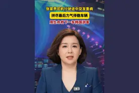 张家界司机行驶途中突发重病，拼尽最后力气停稳车辆，用生命救下一车韩国游客#中国蓝新闻主播Talk