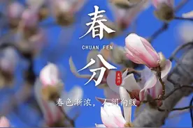 今日春分，春色平分。愿你一程春暖花开，一路春风得意，愿此春惬意，所有美好，与你相遇。#春分 #节气 #风景视频封面