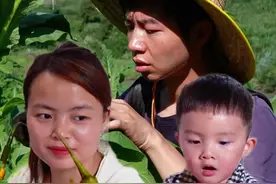 小时候不明白父母为什么农活一干就是一整天，长大后才知道他们手中所拿皆是生活，肩上所及皆是责任心中所想皆是儿女。#新农人计划2025  #我的乡村生活  #好医保旗舰版  #好险我有蚂蚁保