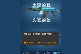 CS那些顶级起名（三） #cs  #cs2饰品 @DOU+小助手