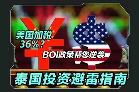 美国加税36%？BOI政策帮你逆袭！这些行业躺着赚钱💰视频封面