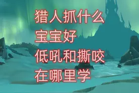 魔兽世界硬核模式猎人抓什么宝宝好，低吼和撕咬在哪里学