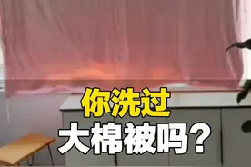 3月8日（采访）山东，女子2小时洗4斤重棉被，2天后晒干又蓬松又香，网友：北方2天晒干大棉被，南方袜子都晒不干@月亮爬上来🌛
