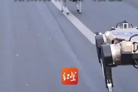 北京将举办全球首个，人形机器人半程马拉松比赛，关门时间3个半小时 可换电池视频封面