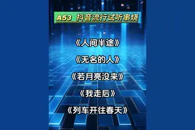 抖音中文热歌DJ，30分钟试听版 连接你的爱车试试#人间半途