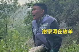 4月24日 陕西汉中。小伙先天双腿残疾 父母早逝，却靠双手爬行做农活 放牛羊。“给妹妹存点钱 让她读更多的书”#陕西dou知道 #谢宗涛 #努力生活 #坚强的面对生活视频封面