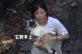 宠物猫从家中跑出因为太胖被困坑中，主人为救猫咪下去了结果也被困了....#生活安全dou知道  #萌宠 #政媒原创作者联盟 @郴州消防 视频封面