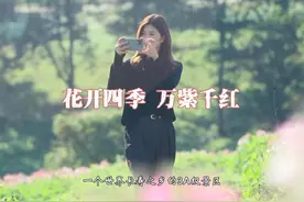 小时候我们总是向往远方，长大后才明白其实远方并没有那么美好视频封面