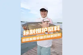 赶紧收藏 ，你和爆护之间就差这款秘制窝料。#原来钓鱼才是抖音运动顶流 #2024dou来钓鱼 #乐生活趣钓鱼视频封面