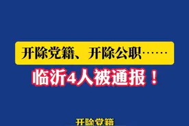 开除党籍、开除公职、政务撤职……临沂市纪委监委通报4起违反中央八项规定精神典型问题。#临沂 #通报视频封面