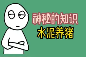为什么不能用水泥地面养猪？ #涨知识视频封面