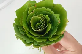 不用胶水，用银杏树叶扎花朵的方法～ #树叶手工 #简单小手工 #树叶画视频封面