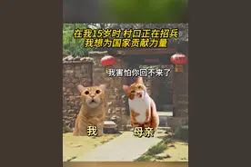 “十五从军征，八十始得归”慈母借天寿，只为见子回 #猫meme #亲情 #感动 #内容过于真实 #谢春生视频封面
