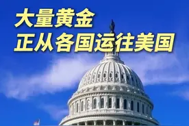 套利交易引发“黄金大迁徙” 美国纽约交易所库存大增 #大量黄金正从各国运往美国  #多国向美国出口金条数量出现激增  #特朗普打算视察黄金储备情况视频封面