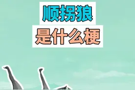 顺拐狼是什么梗？ #顺拐狼 #meme #梗 #抽象 #魔性视频封面