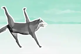 顺拐狼是什么梗？ #顺拐狼 #meme #梗 #抽象 #魔性视频封面