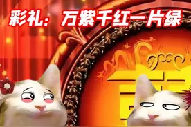 万紫千红一片绿原来是这个意思 #彩礼 #山东彩礼 #内容过于真实视频封面