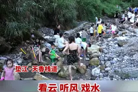 逐溪 寻野 纳凉丨垫江再添一避暑纳凉好去处#重庆垫江视频封面