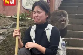 女生爬峨眉山被猴子翻包，一边委屈大哭一边吐槽，猴子还把她充电宝给扔了#大学生 #爬山 #意想不到的结局 #猴子成精 #峨眉山的猴子视频封面