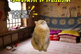 小时候来到爷爷奶奶家 #猫meme #童年回忆 #小时候 #回忆杀视频封面