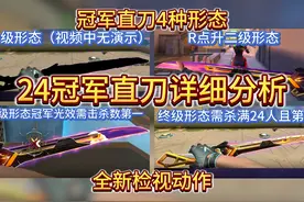 无畏契约全球冠军赛套装冠军直刀的详细分析，有遗漏或不对可指出