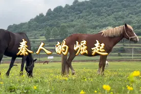 秦人用了500年时间从一个边陲小地，发展成为首个大一统帝国视频封面