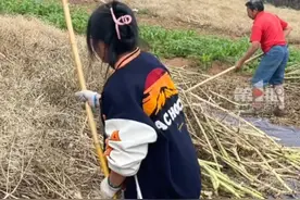 这样的五一好有意义！#大学生五一假期主动回家干农活 ，做力所能及的事帮家里减轻负担，“我多做一点，父母就少累一点” #五一假期 #五一劳动节视频封面
