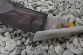 商家给虾仁超量添加保水剂被曝光，“都是科技与狠活 再也不吃”！吃着像“碱”的味道 根本无法形容。#虾仁 #曝光 #315 #科技与狠活视频封面