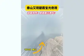 7月10日清晨，泰山又现碧霞宝光奇观。在云雾弥漫间，光环层层晕染，如梦似幻。（记者 刘小东 通讯员 袁训申 编辑 刘娜）#碧霞宝光 #泰山