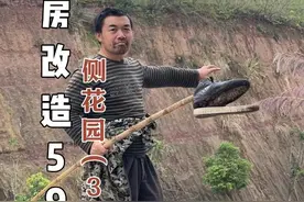 老房改造59集| 这几天把上面平台的围墙砌了，下一步就是挖鱼池了，甲鱼也跑了，下一次钓到甲鱼就炖了，免得留下遗憾#新农人计划2024 #旧房改造 #我的农村生活 #鱼池视频封面