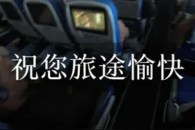 这是我和导盲犬阿尔法在飞机上度过的一段愉快的旅程#无障碍出行  #导盲犬  #导盲犬阿尔法  #坐飞机视频封面