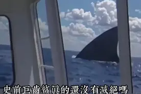 【不要一个人看】七个会让你瞪大眼珠的猎奇短片！