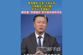 赖清德称"台美"关税谈判没有触及汇率问题并否认"美国施压"赖岳谦:"美国施压"的可能性始终存在#美国 #关税 #海峡新干线 #台湾 #汇率视频封面